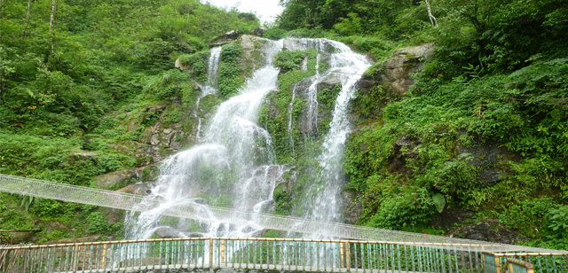 Eastern Himalayan Delight