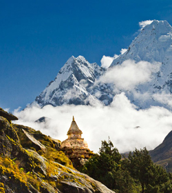 Eastern Himalayan Delight