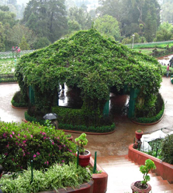 Mysore Ooty Coorg