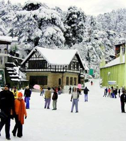 Traveller's Delight Customized Shimla-Manali